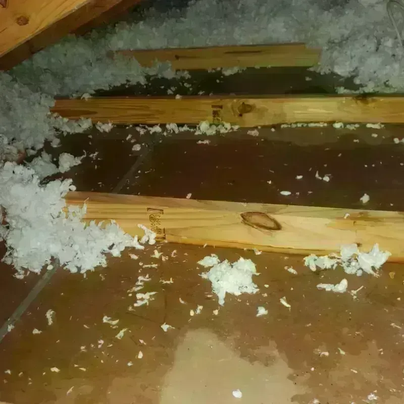 Attic Water Damage in Buffalo County, WI