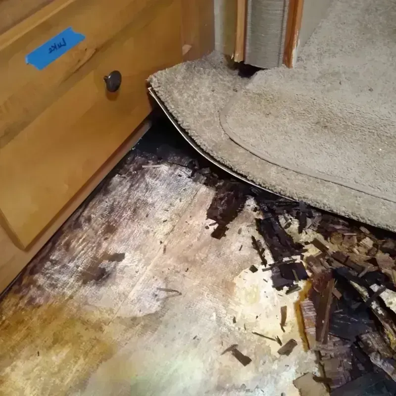 Wood Floor Water Damage in Buffalo County, WI